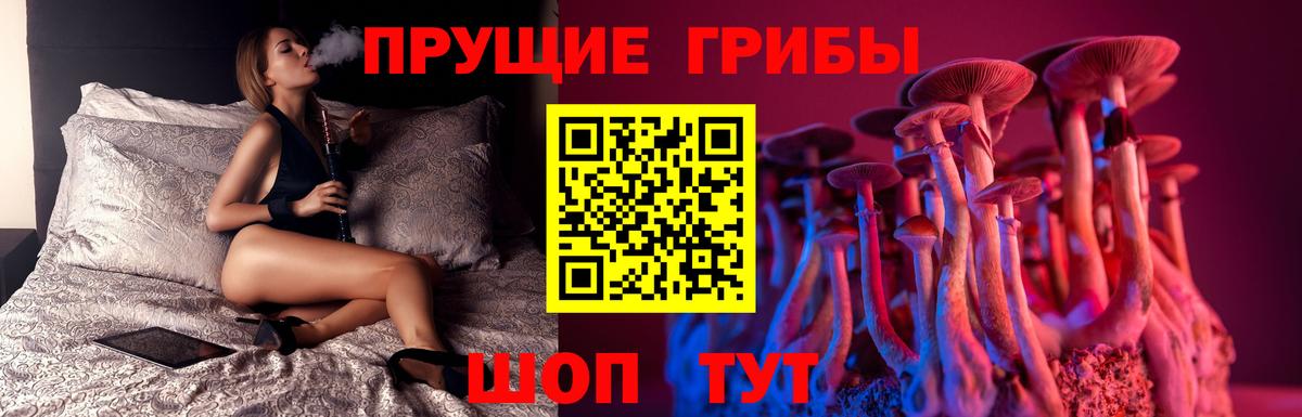 Павловский Посад  наркота  Вход с VPN  Псилоцибиновые грибы Psilocybe 