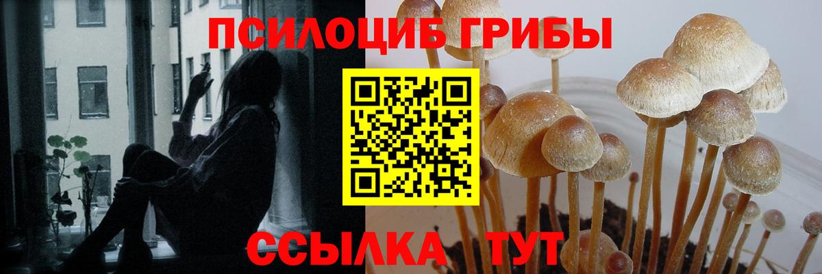 КОКАИН Павловский Посад