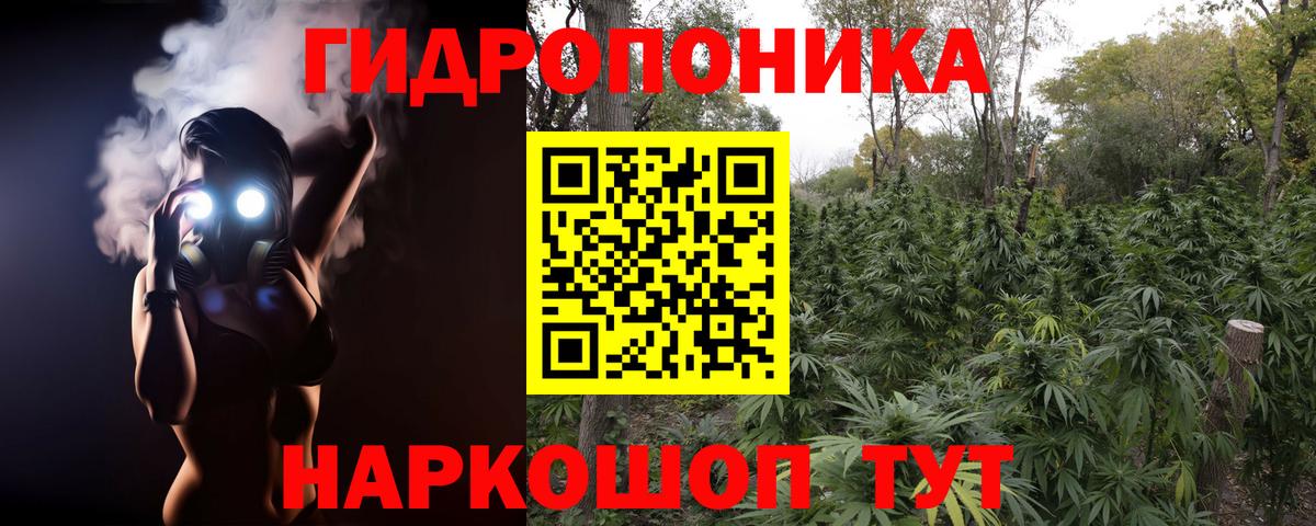 Канабис семена Павловский Посад
